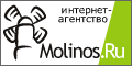 Интерент-агентство Molinos